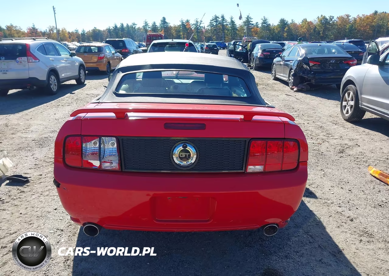 2005 Ford Mustang Gt VIN:1ZVFT85H055233155 - 17
