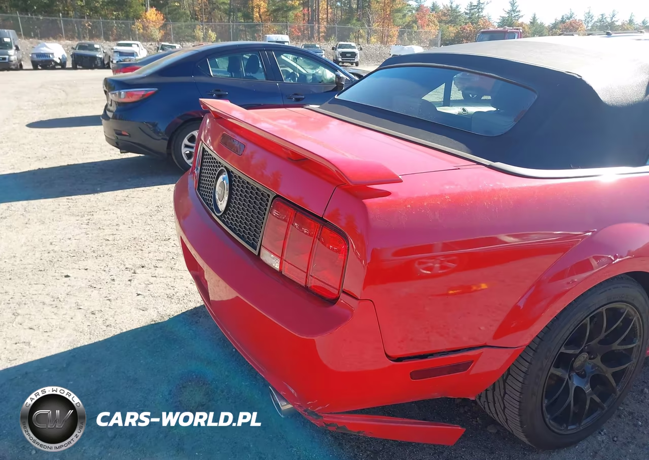 2005 Ford Mustang Gt VIN:1ZVFT85H055233155 - 20