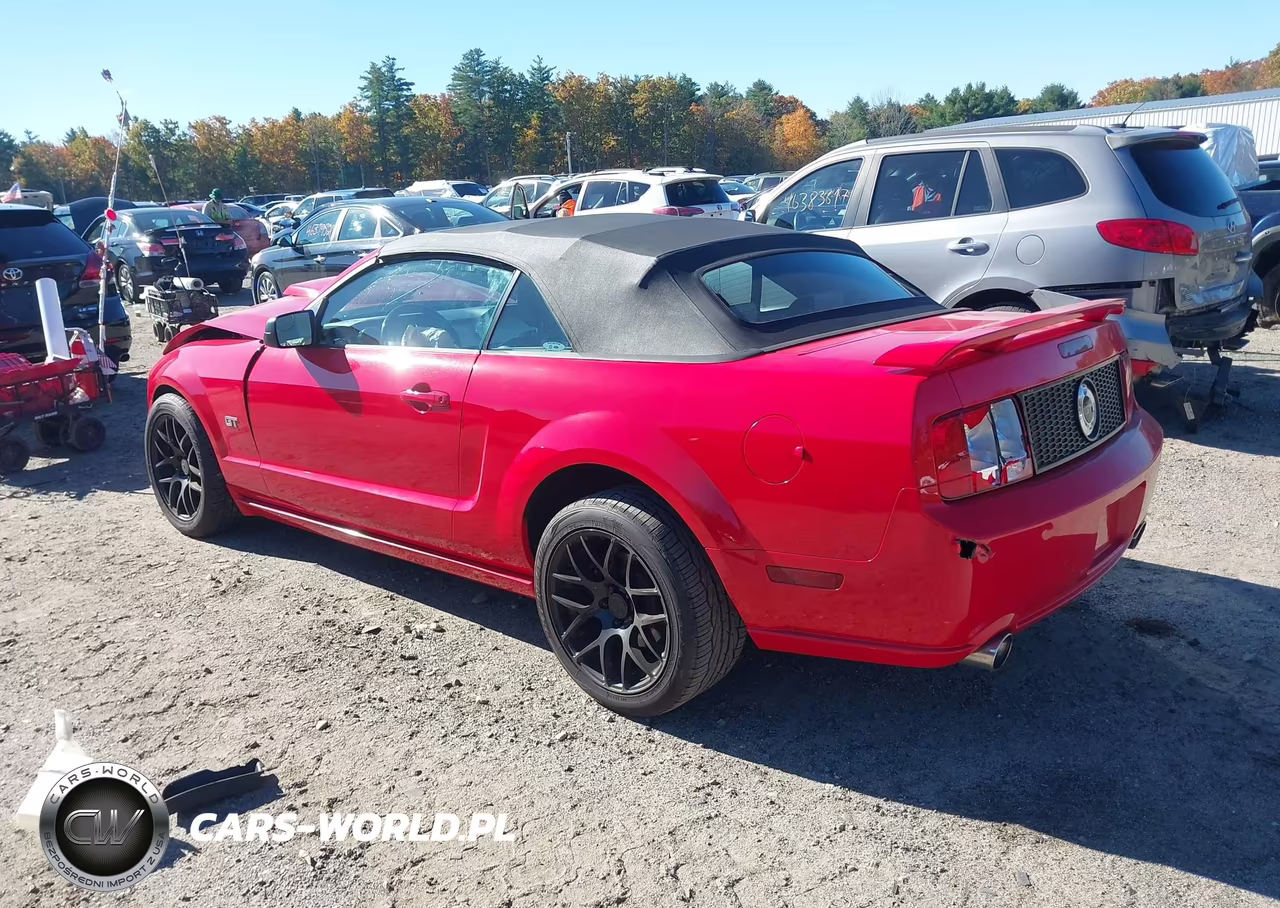 2005 Ford Mustang Gt VIN:1ZVFT85H055233155 - 3