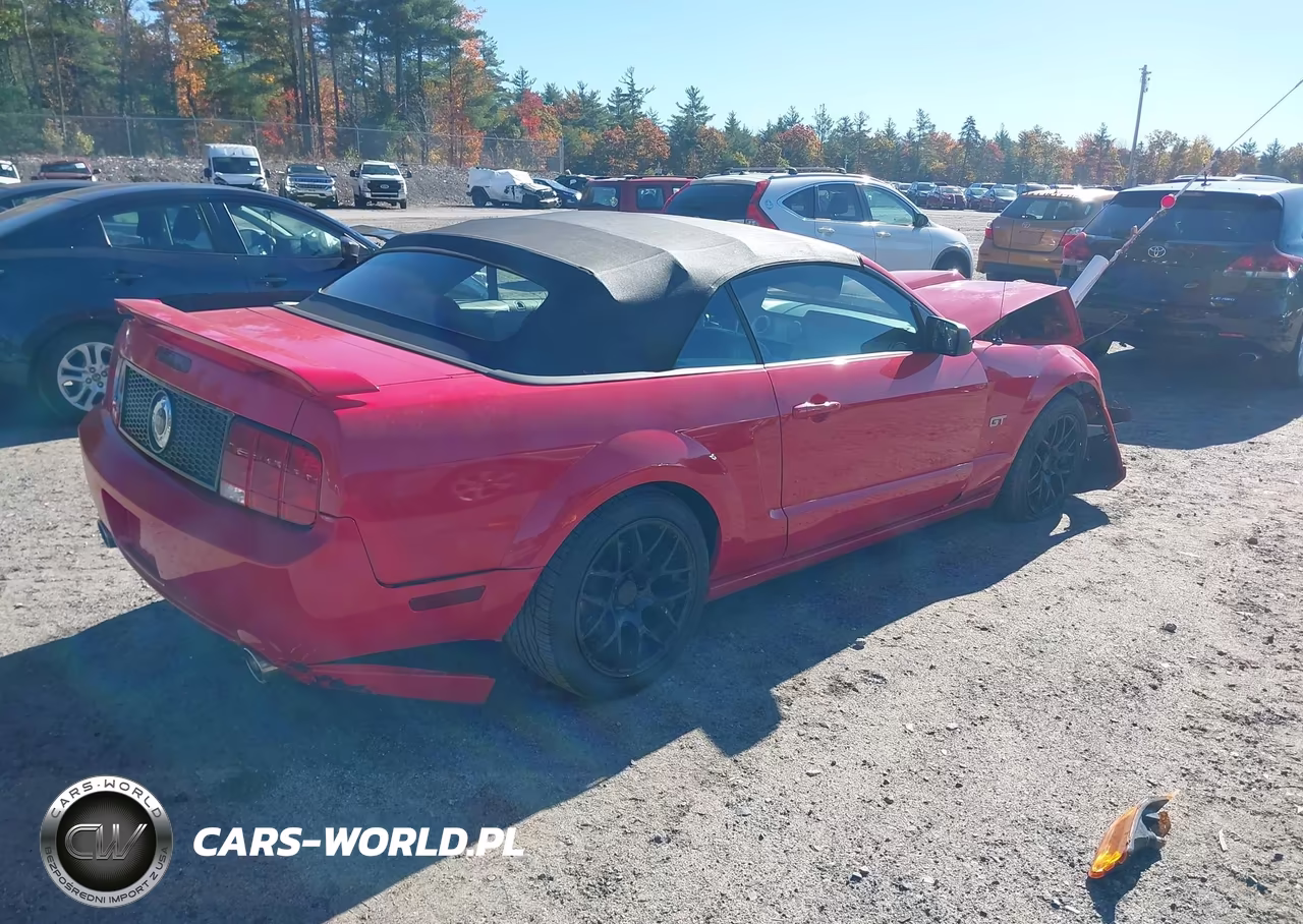 2005 Ford Mustang Gt VIN:1ZVFT85H055233155 - 4