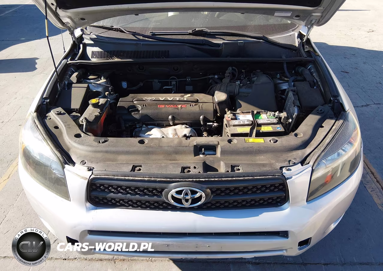 2006 Toyota Rav4 VIN:JTMZD33V365017066 - 10