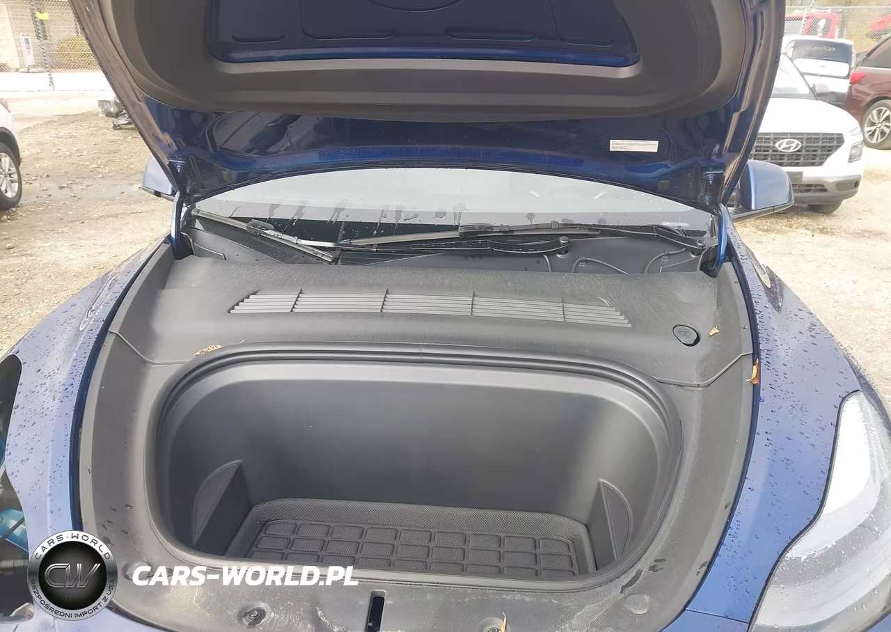 2024 Tesla Model Y Performance Dual Motor All-Wheel Drive VIN:7SAYGDEF3RA283463 - 10