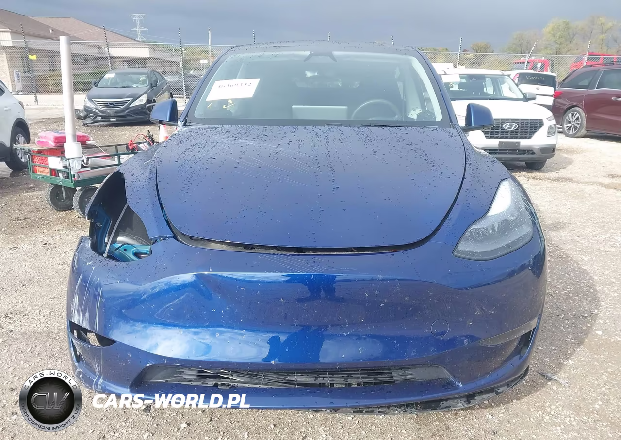 2024 Tesla Model Y Performance Dual Motor All-Wheel Drive VIN:7SAYGDEF3RA283463 - 12