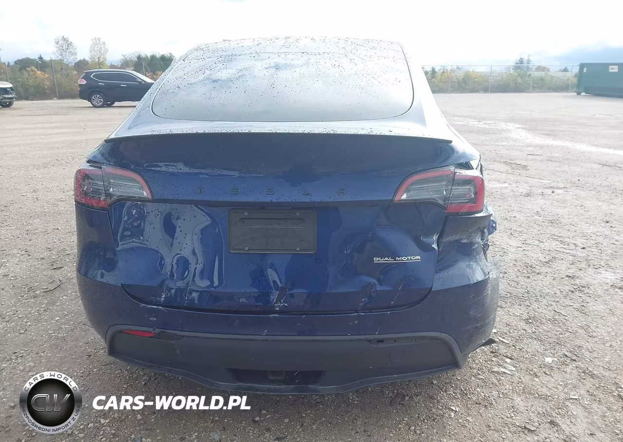 2024 Tesla Model Y Performance Dual Motor All-Wheel Drive VIN:7SAYGDEF3RA283463 - 19