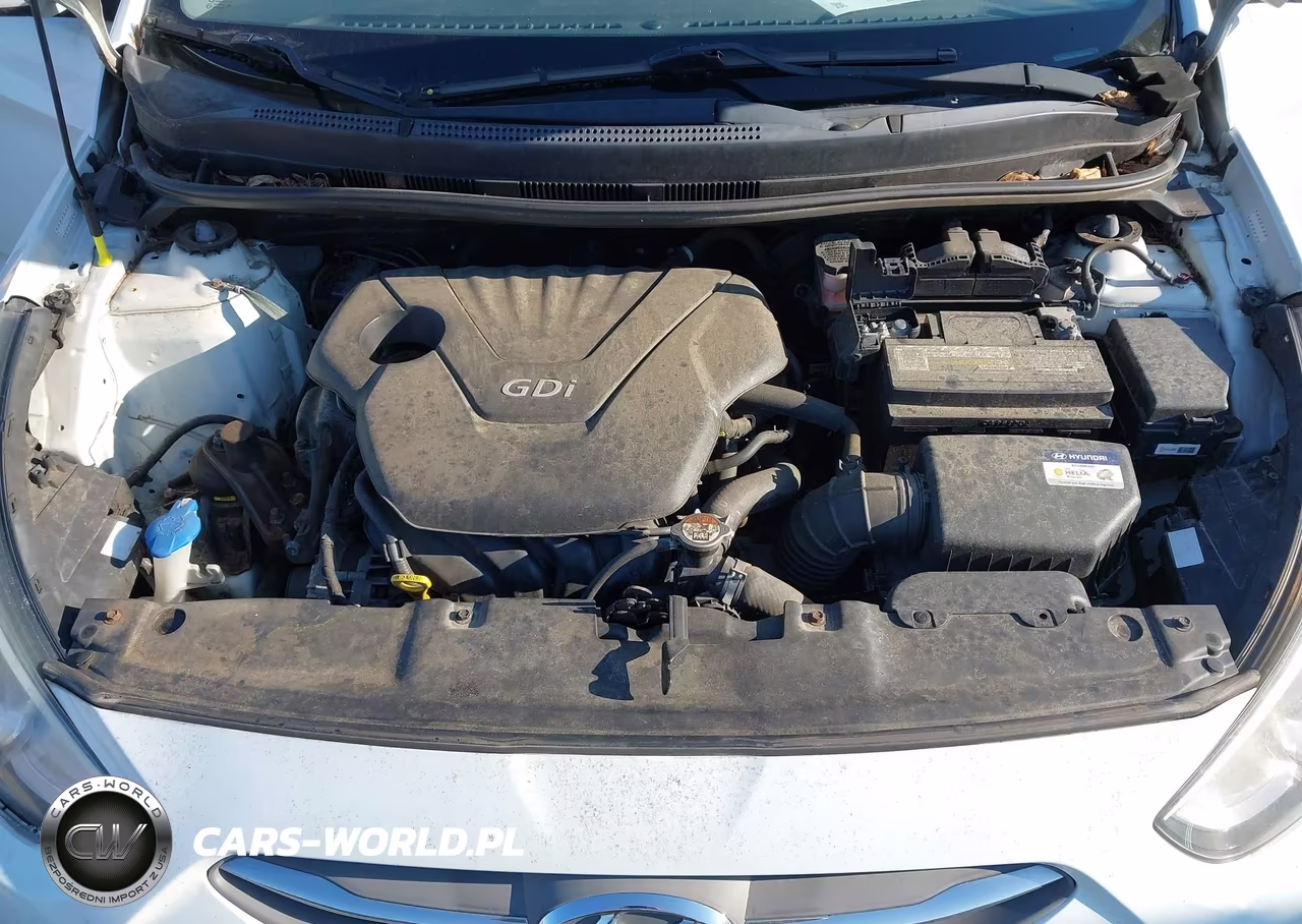 2016 Hyundai Accent Se VIN:KMHCT4AE1GU092191 - 10