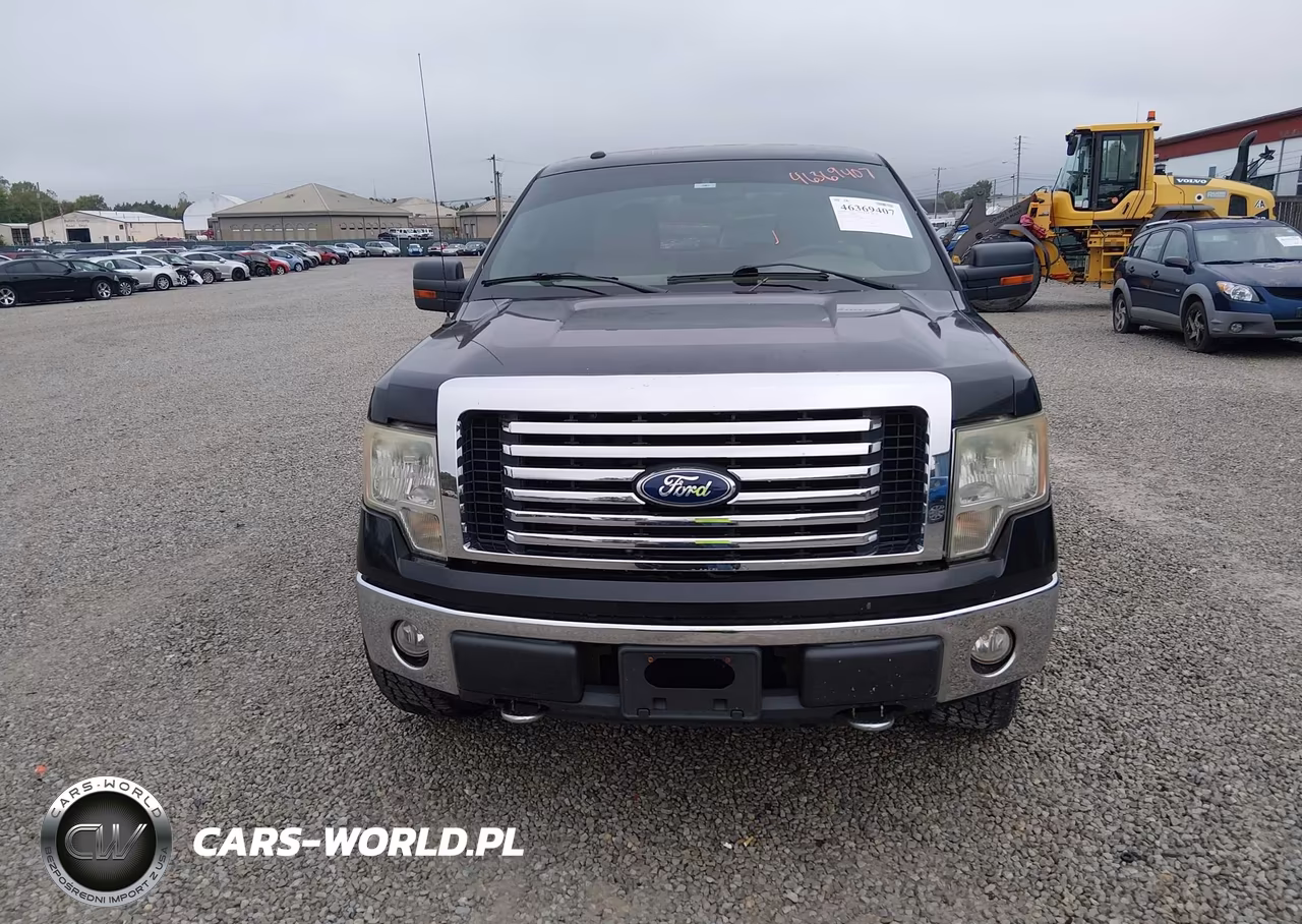 2010 Ford F-150 Fx4-Harley-Davidson-King Ranch-Lariat-Platinum-Xl-Xlt VIN:1FTFW1EV6AFD64859 - 12