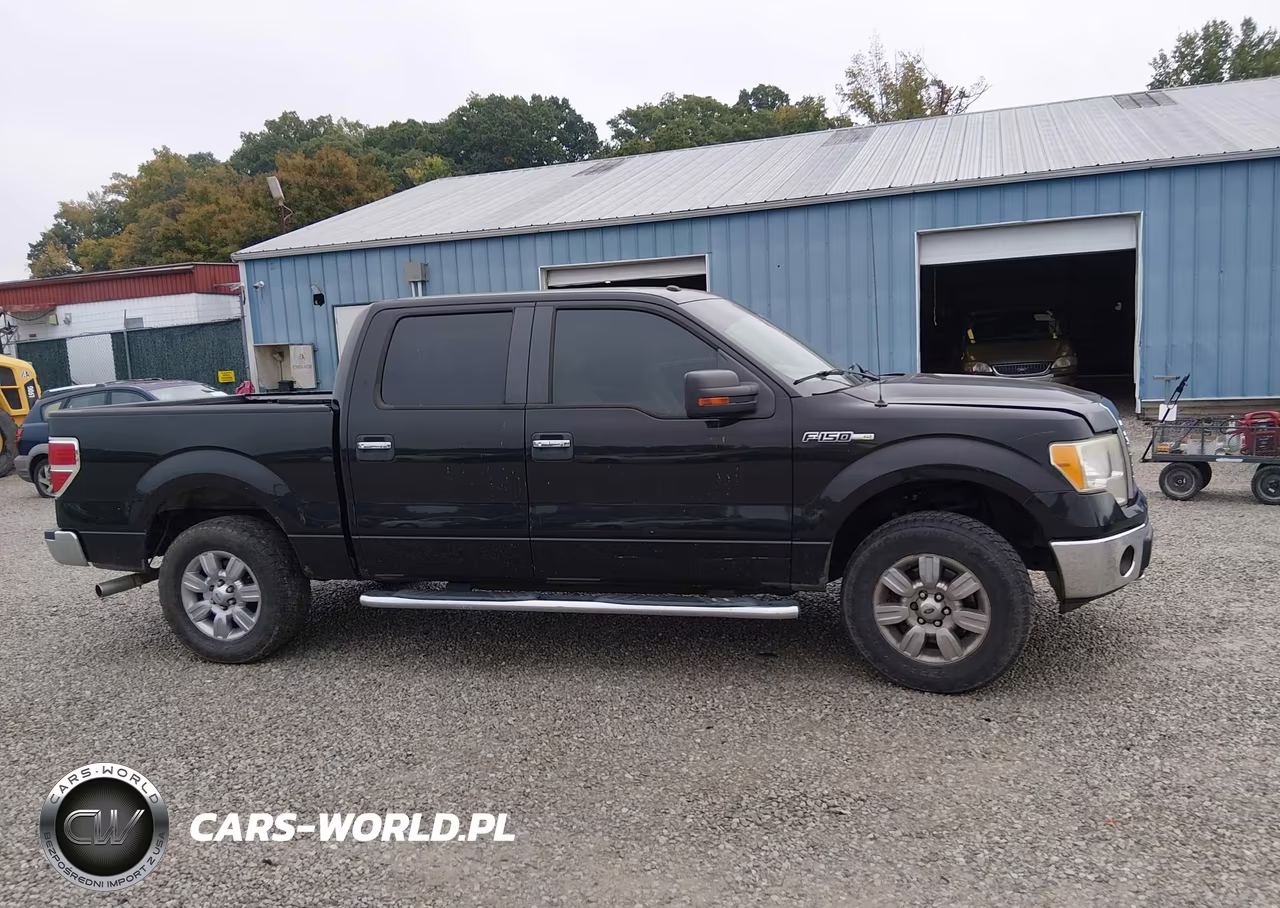2010 Ford F-150 Fx4-Harley-Davidson-King Ranch-Lariat-Platinum-Xl-Xlt VIN:1FTFW1EV6AFD64859 - 13