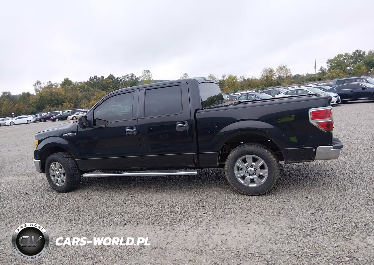 2010 Ford F-150 Fx4-Harley-Davidson-King Ranch-Lariat-Platinum-Xl-Xlt VIN:1FTFW1EV6AFD64859 - 14
