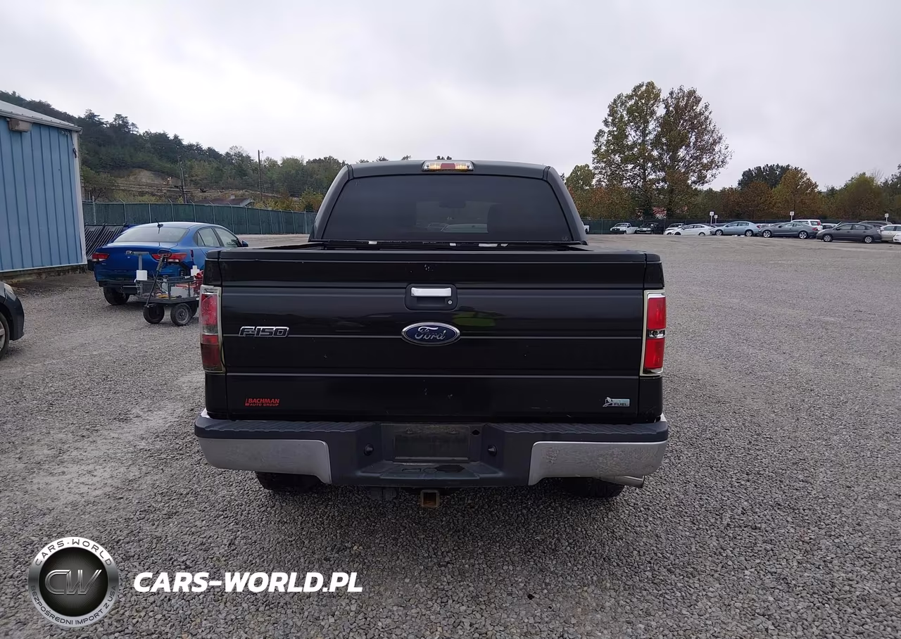 2010 Ford F-150 Fx4-Harley-Davidson-King Ranch-Lariat-Platinum-Xl-Xlt VIN:1FTFW1EV6AFD64859 - 16