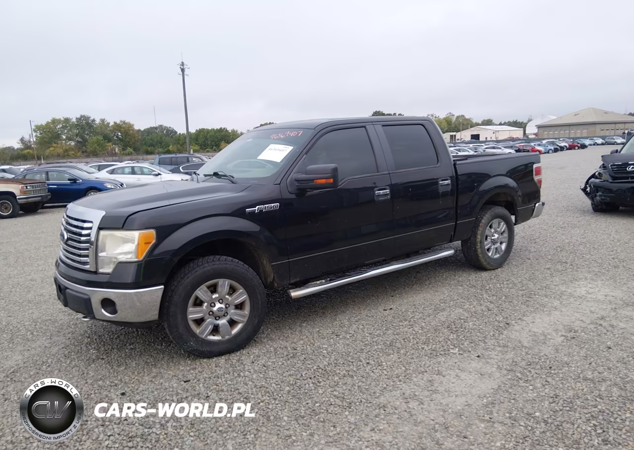 2010 Ford F-150 Fx4-Harley-Davidson-King Ranch-Lariat-Platinum-Xl-Xlt VIN:1FTFW1EV6AFD64859 - 2