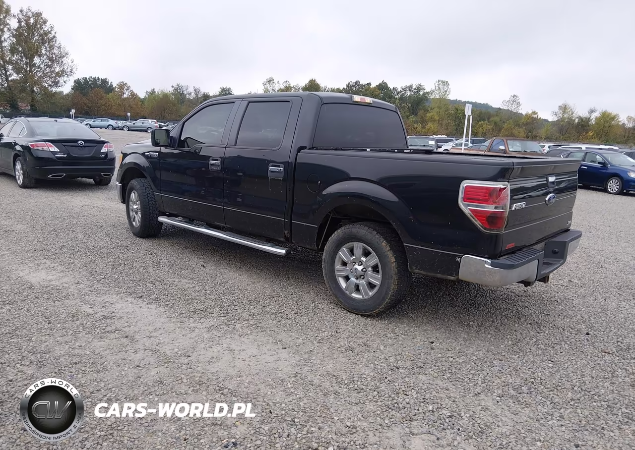 2010 Ford F-150 Fx4-Harley-Davidson-King Ranch-Lariat-Platinum-Xl-Xlt VIN:1FTFW1EV6AFD64859 - 3