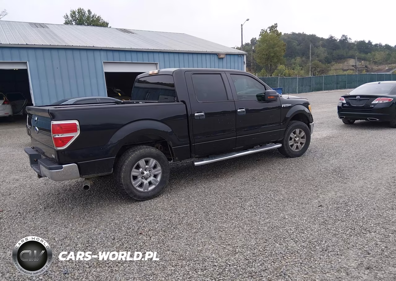 2010 Ford F-150 Fx4-Harley-Davidson-King Ranch-Lariat-Platinum-Xl-Xlt VIN:1FTFW1EV6AFD64859 - 4