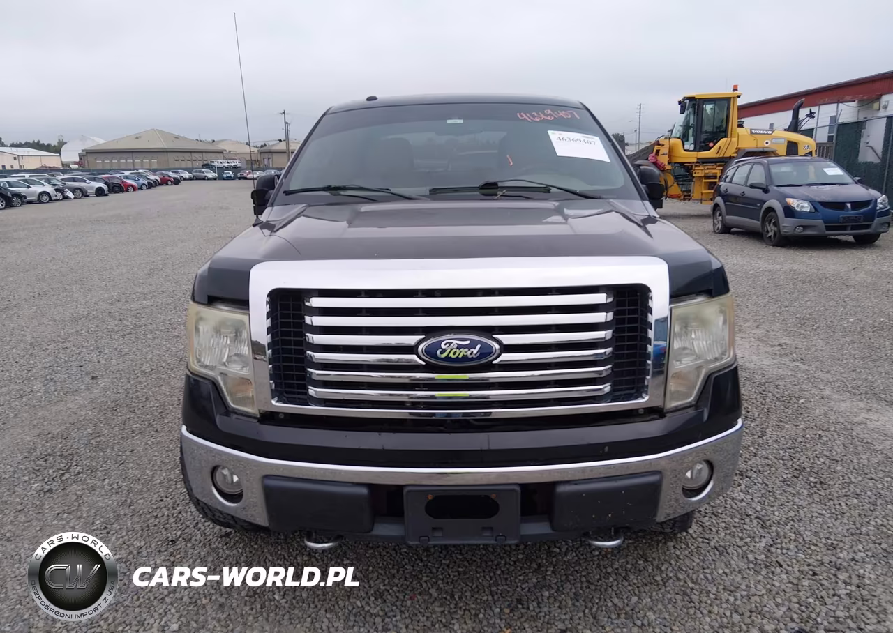 2010 Ford F-150 Fx4-Harley-Davidson-King Ranch-Lariat-Platinum-Xl-Xlt VIN:1FTFW1EV6AFD64859 - 6