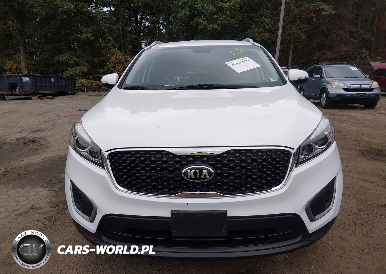 2017 Kia Sorento 3.3L Lx VIN:5XYPGDA56HG187486 - 12