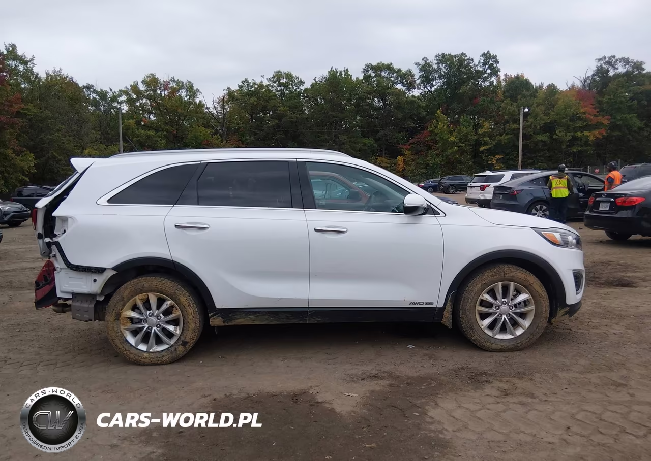 2017 Kia Sorento 3.3L Lx VIN:5XYPGDA56HG187486 - 13