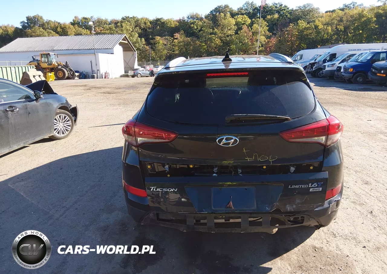 2017 Hyundai Tucson Limited VIN:KM8J3CA29HU383837 - 16