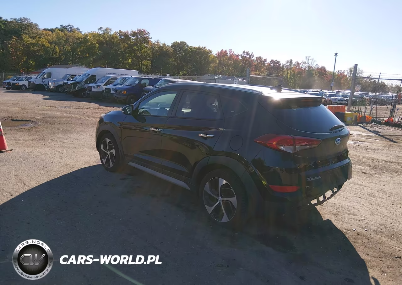 2017 Hyundai Tucson Limited VIN:KM8J3CA29HU383837 - 3