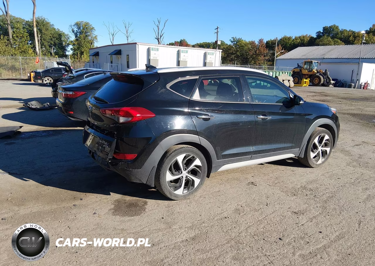2017 Hyundai Tucson Limited VIN:KM8J3CA29HU383837 - 4