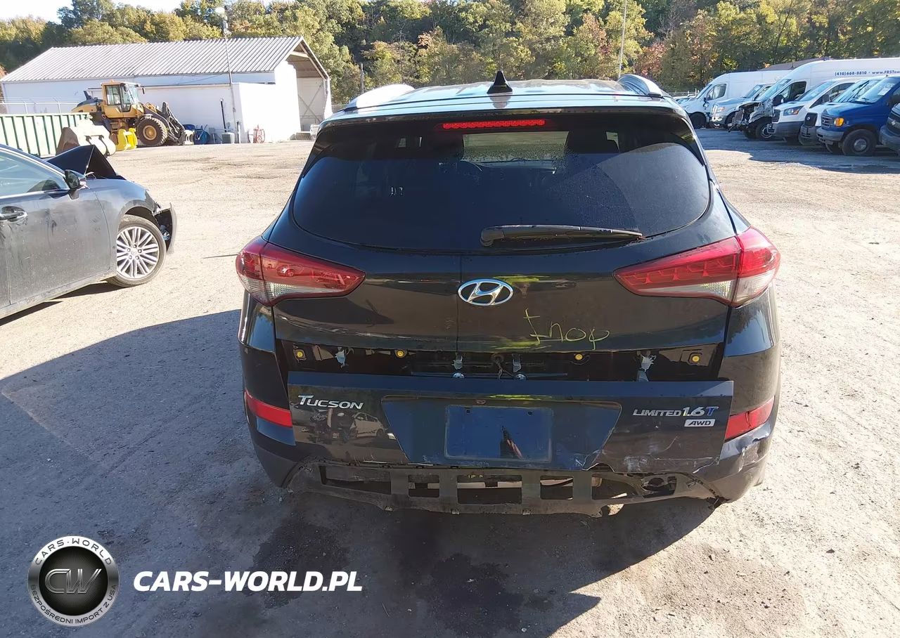 2017 Hyundai Tucson Limited VIN:KM8J3CA29HU383837 - 6