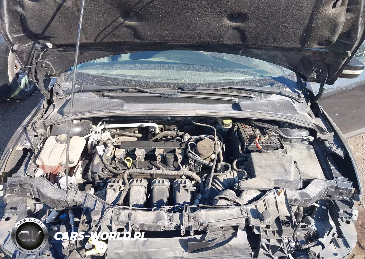 2014 Ford Focus Se VIN:1FADP3K24EL418568 - 10