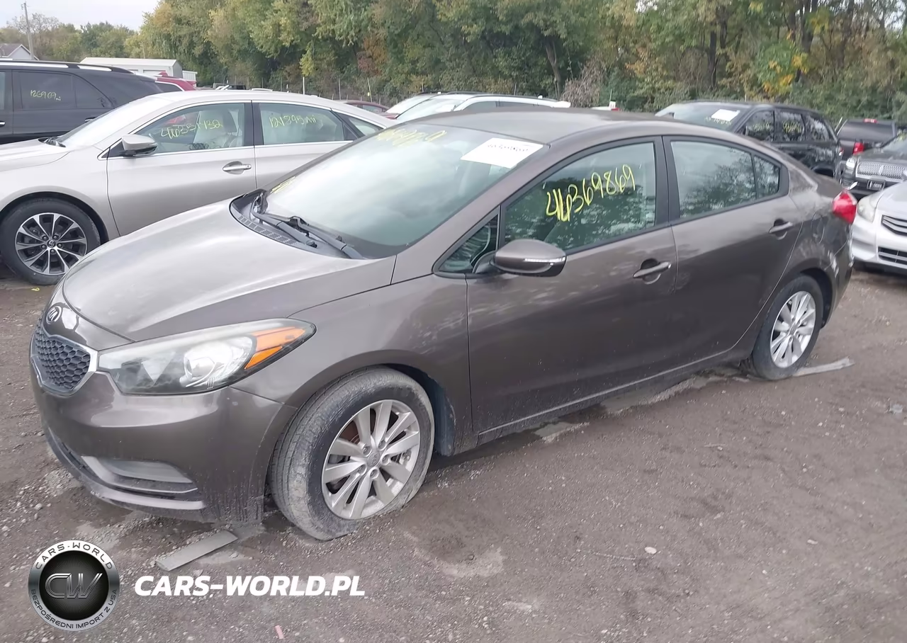 2014 Kia Forte Lx VIN:KNAFX4A62E5192397 - 2