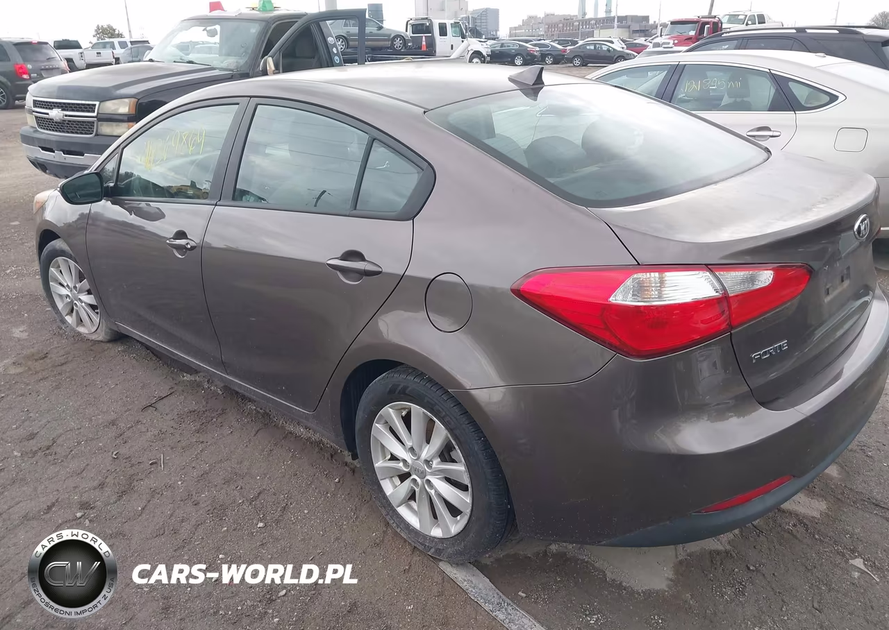 2014 Kia Forte Lx VIN:KNAFX4A62E5192397 - 3