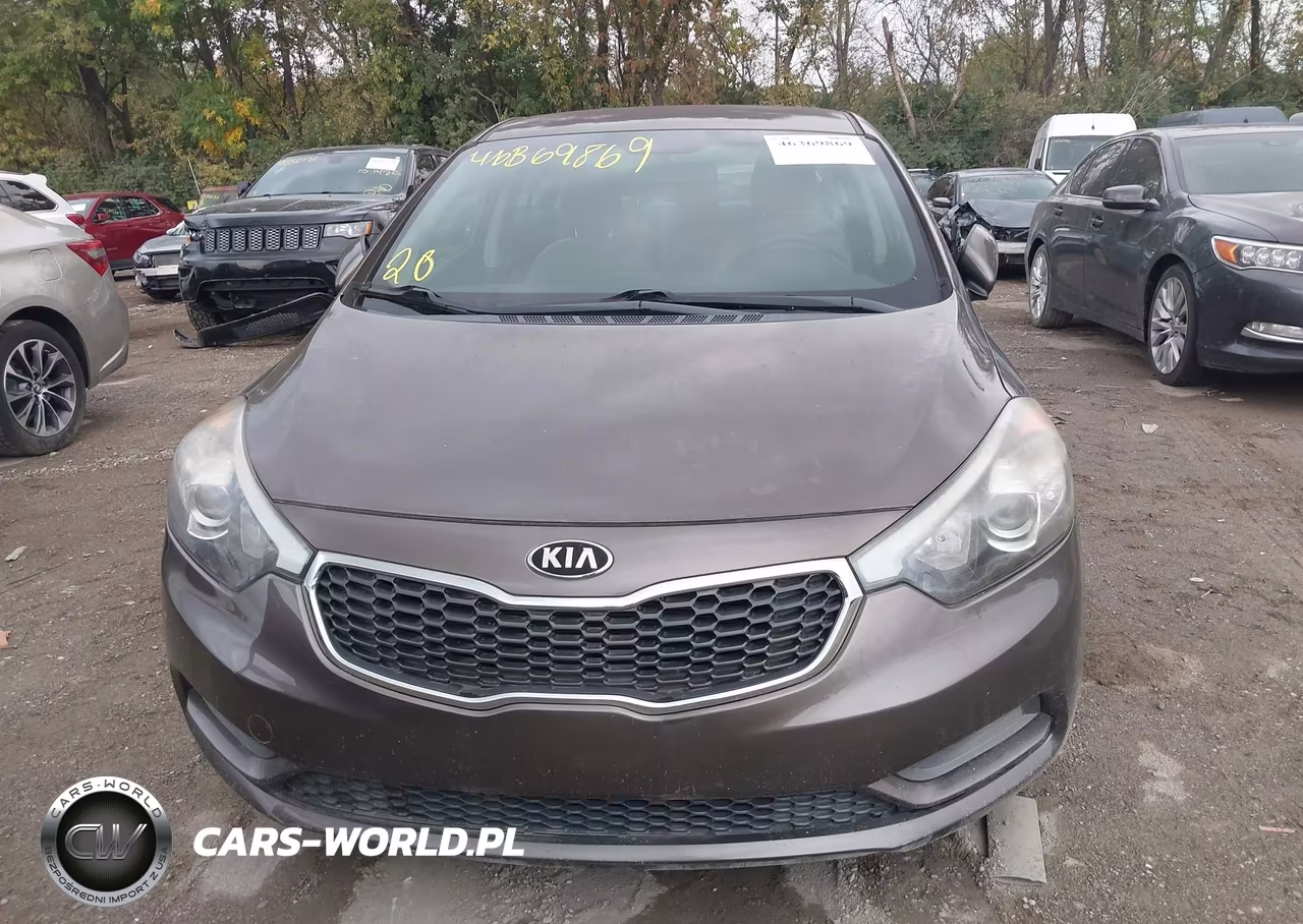 2014 Kia Forte Lx VIN:KNAFX4A62E5192397 - 6