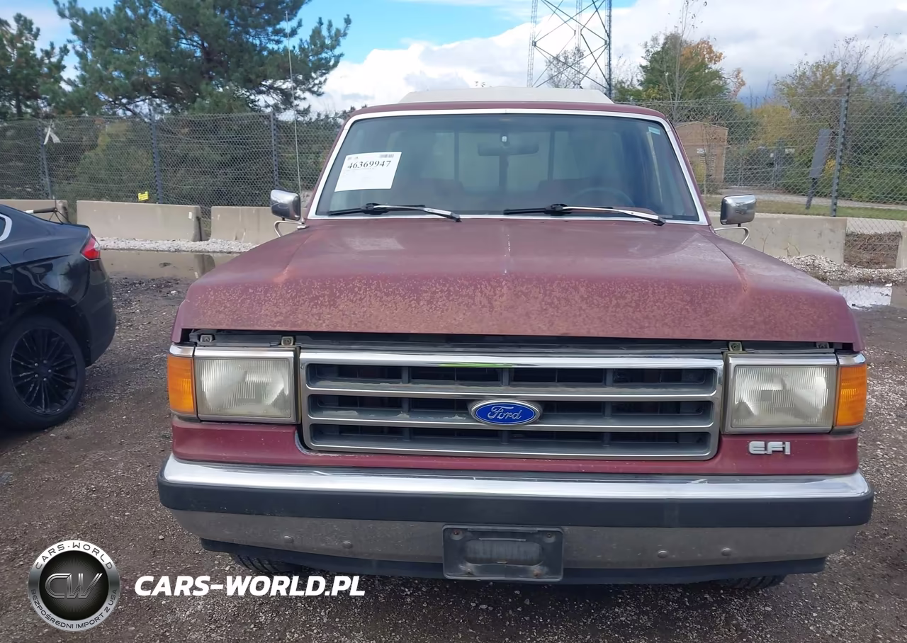 1990 Ford F150 VIN:1FTDF15Y9LLB03232 - 6