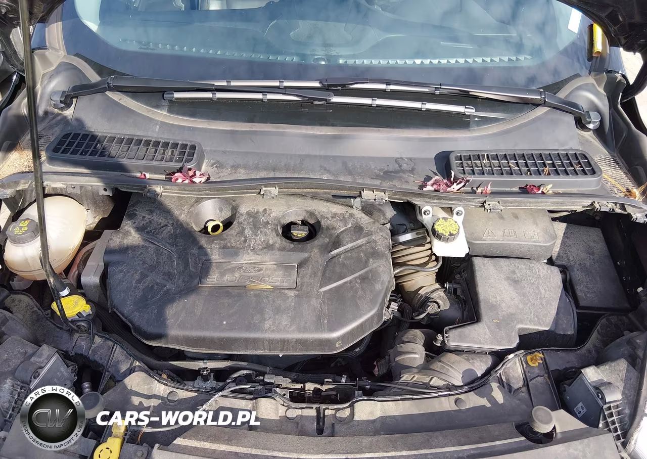 2018 Ford Escape Titanium VIN:1FMCU9J93JUB07214 - 10