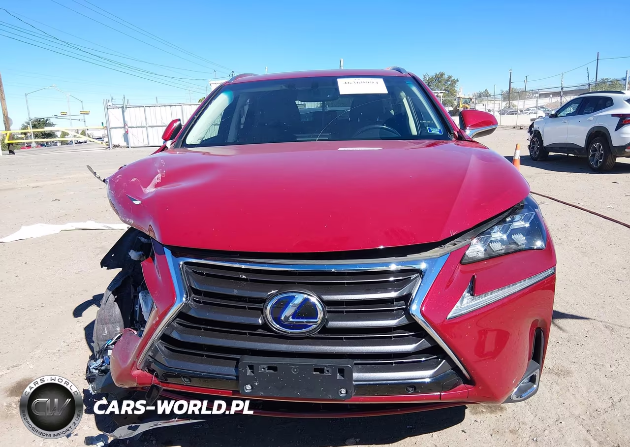 2016 Lexus Nx 300H VIN:JTJBJRBZ7G2032333 - 13