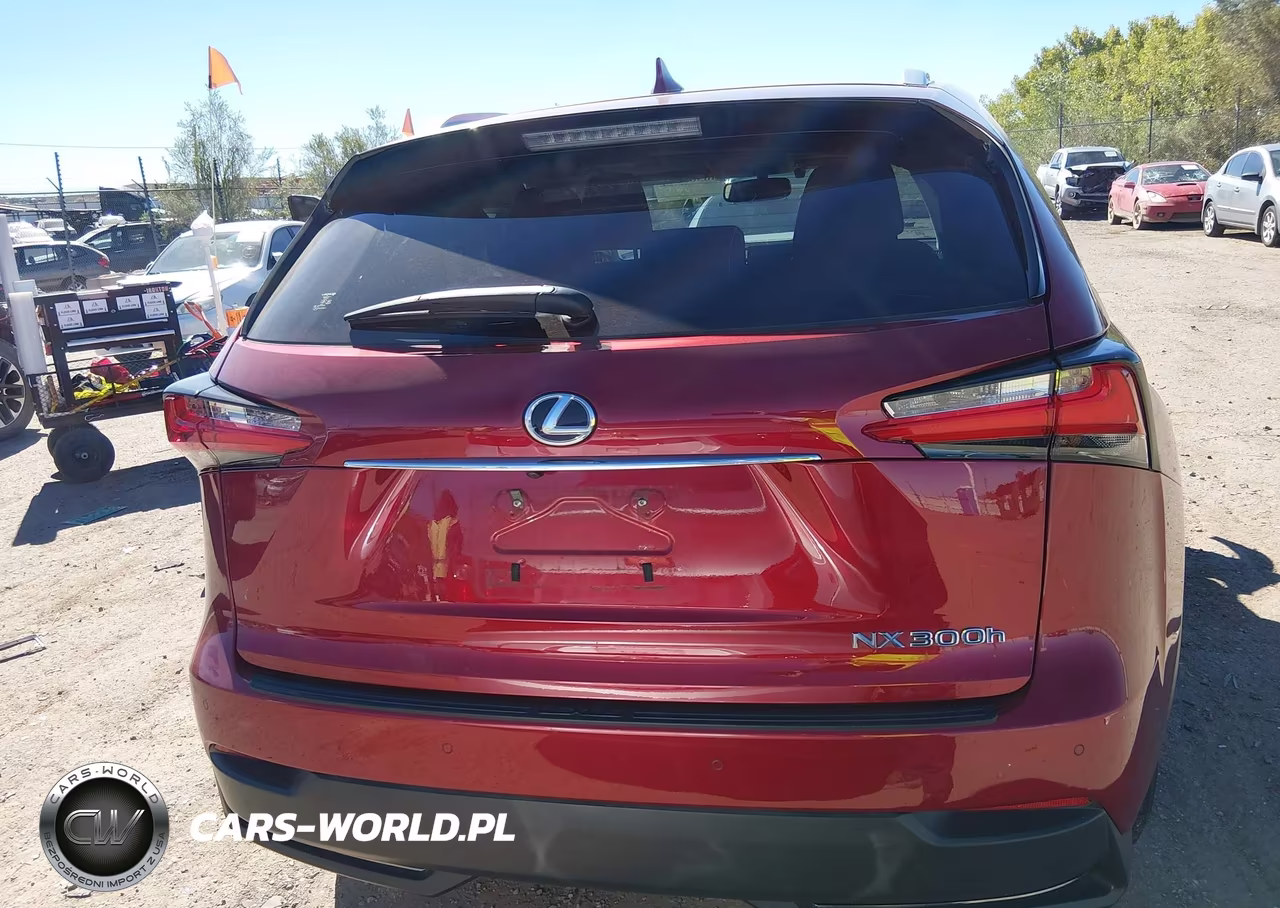 2016 Lexus Nx 300H VIN:JTJBJRBZ7G2032333 - 17