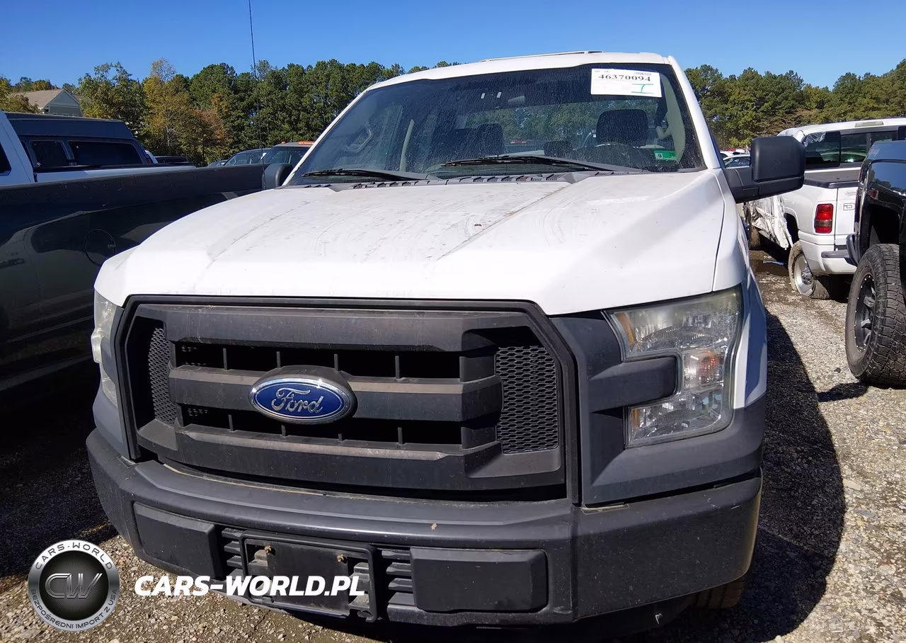 2016 Ford F-150 Xl VIN:1FTEX1C83GFA60497 - 12