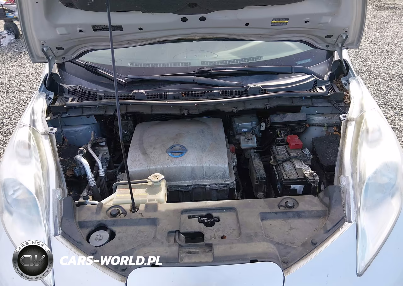 2014 Nissan Leaf Sv VIN:1N4AZ0CP9EC340018 - 10