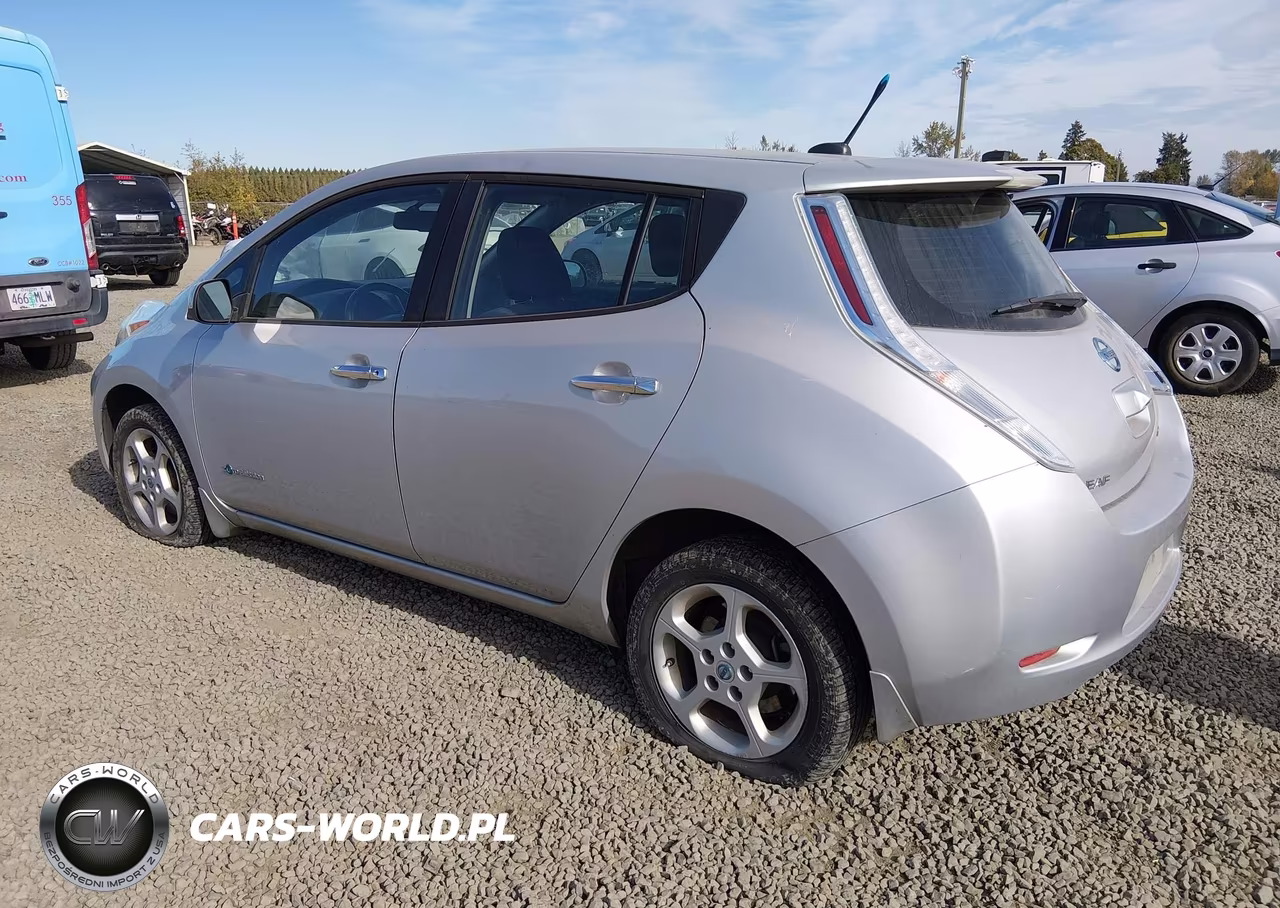 2014 Nissan Leaf Sv VIN:1N4AZ0CP9EC340018 - 3