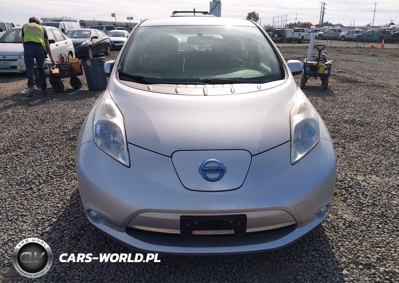 2014 Nissan Leaf Sv VIN:1N4AZ0CP9EC340018 - 6