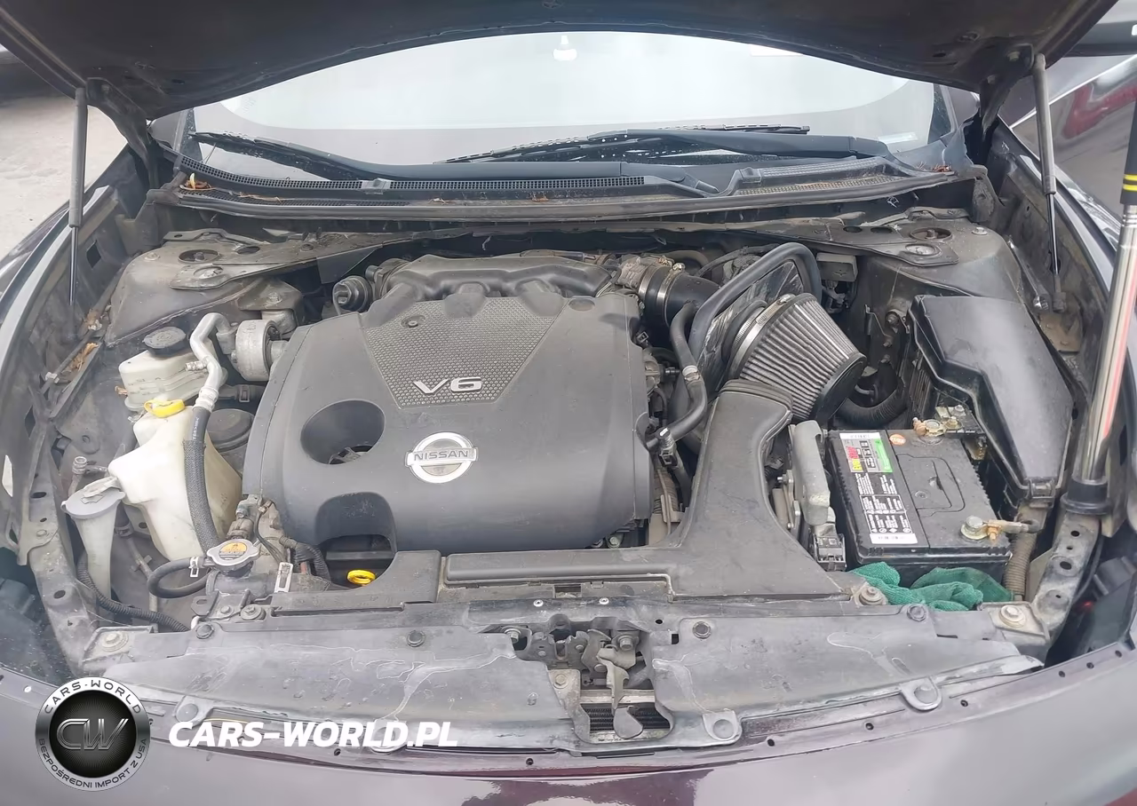 2013 Nissan Maxima 3.5 Sv VIN:1N4AA5AP5DC815900 - 10
