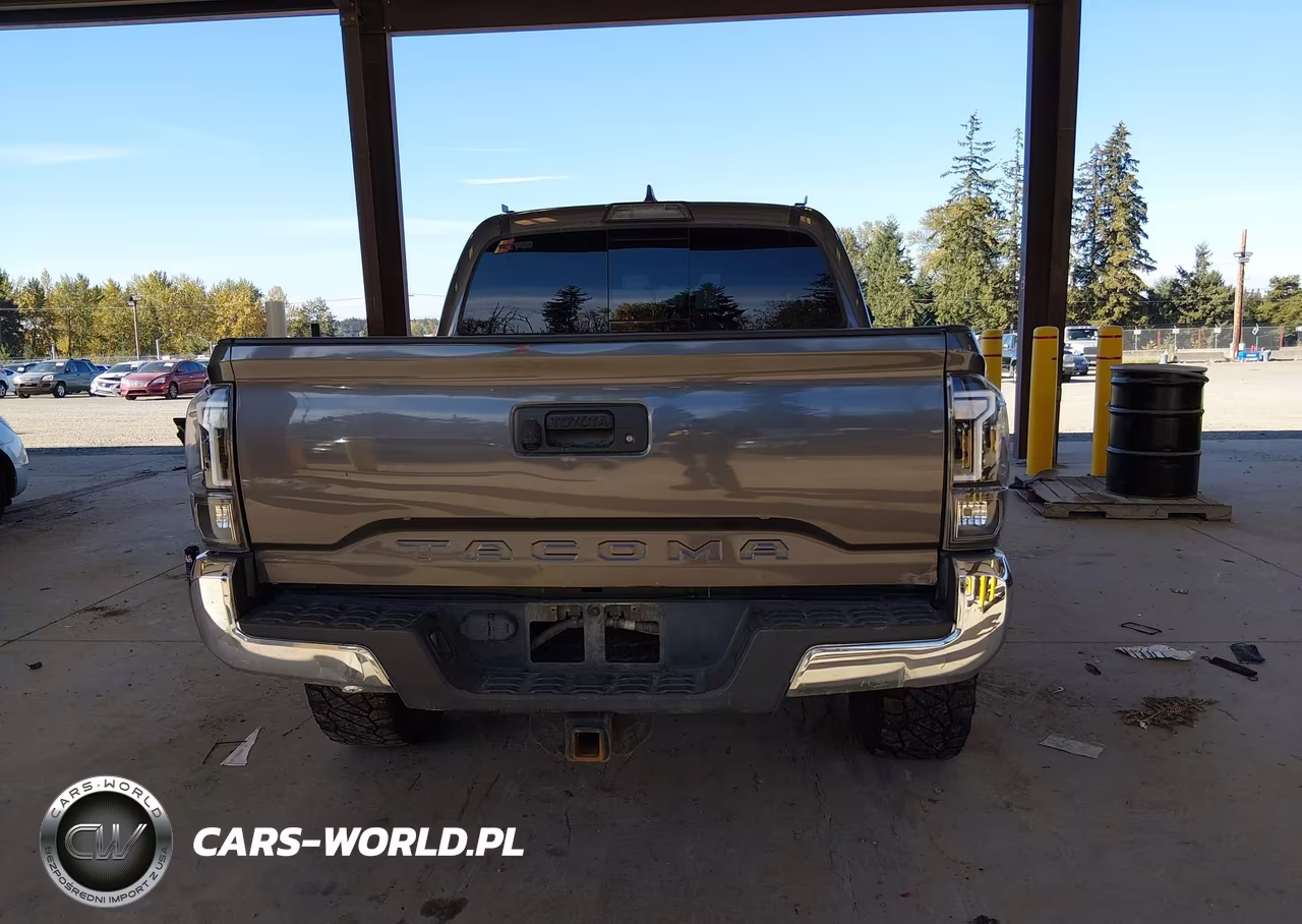 2019 Toyota Tacoma Trd Off Road VIN:5TFCZ5AN3KX184015 - 17