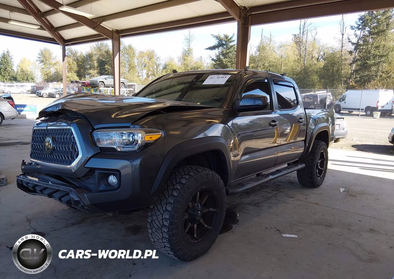 2019 Toyota Tacoma Trd Off Road VIN:5TFCZ5AN3KX184015 - 2