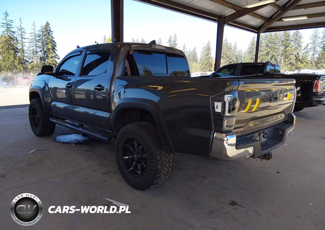 2019 Toyota Tacoma Trd Off Road VIN:5TFCZ5AN3KX184015 - 3