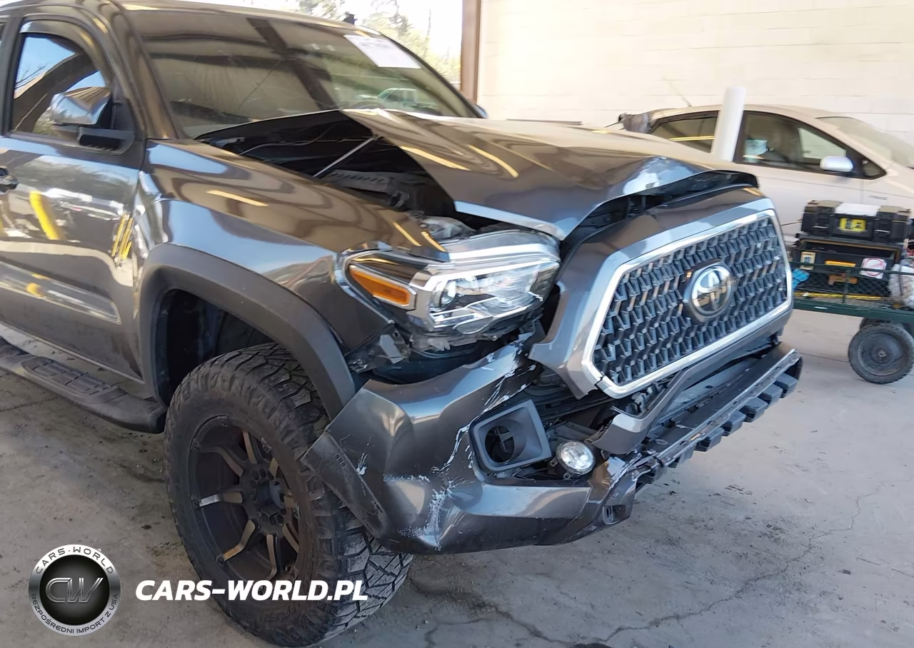 2019 Toyota Tacoma Trd Off Road VIN:5TFCZ5AN3KX184015 - 6