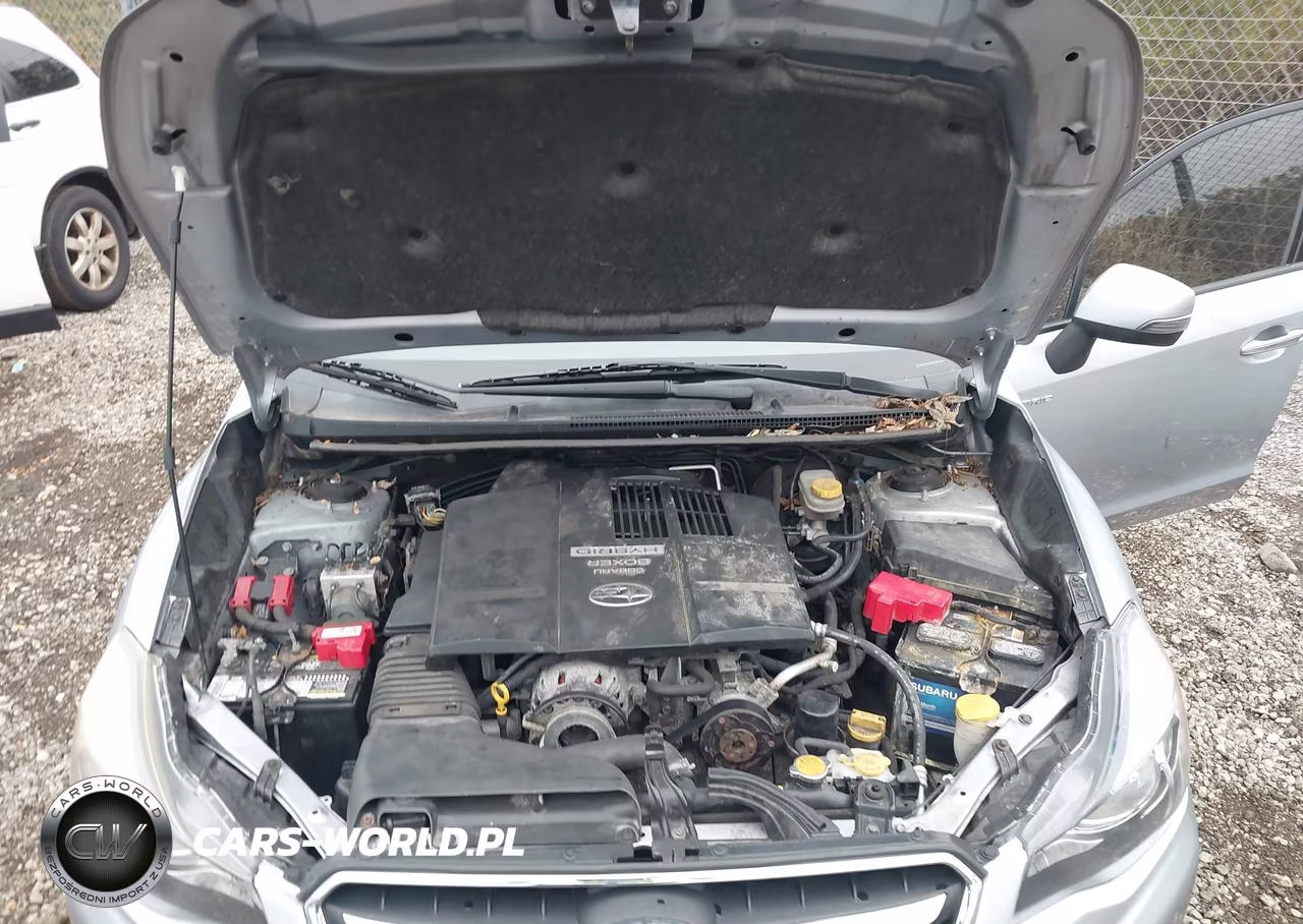 2014 Subaru Xv Crosstrek Hybrid 2.0I Touring VIN:JF2GPBKC0EH251124 - 10