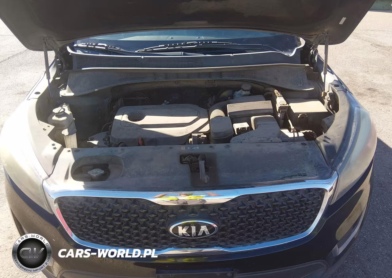 2016 Kia Sorento 2.4L Lx VIN:5XYPG4A32GG061266 - 10
