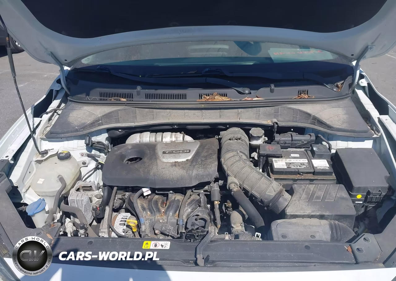 2019 Hyundai Kona Limited VIN:KM8K33A5XKU248582 - 10