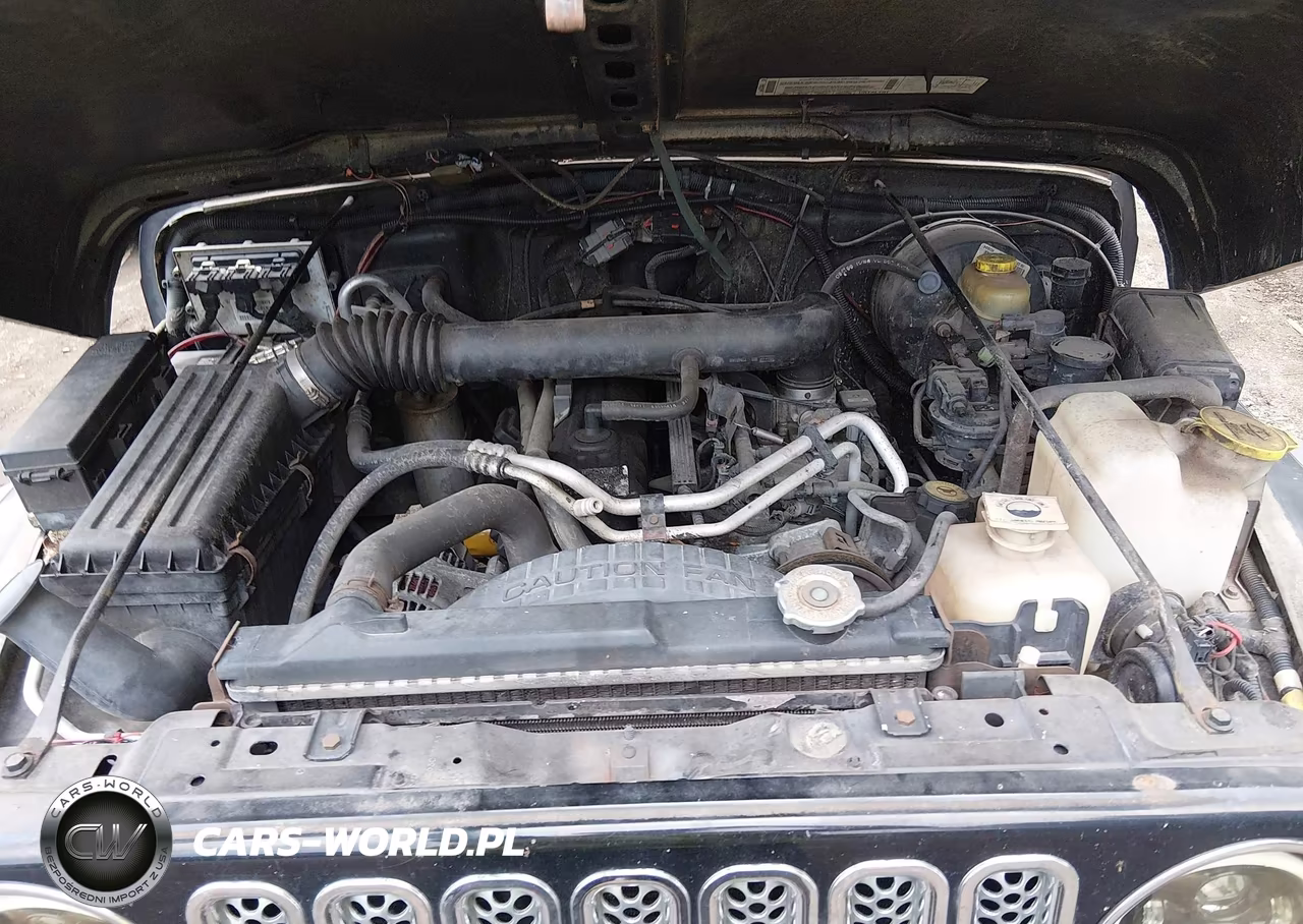 2000 Jeep Wrangler Sport VIN:1J4FA49S6YP701206 - 10