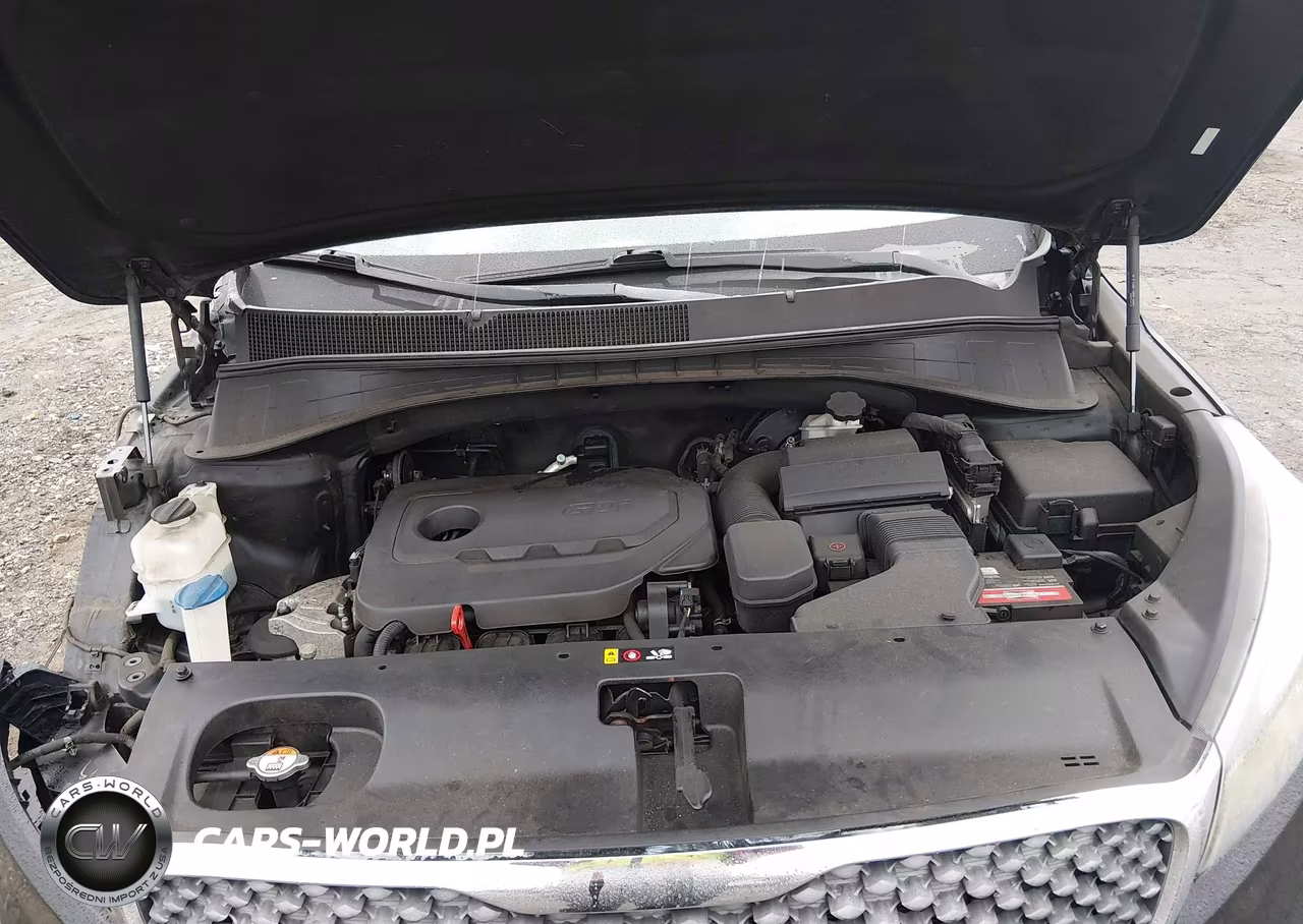 2018 Kia Sorento 2.4L Lx VIN:5XYPG4A31JG366667 - 10