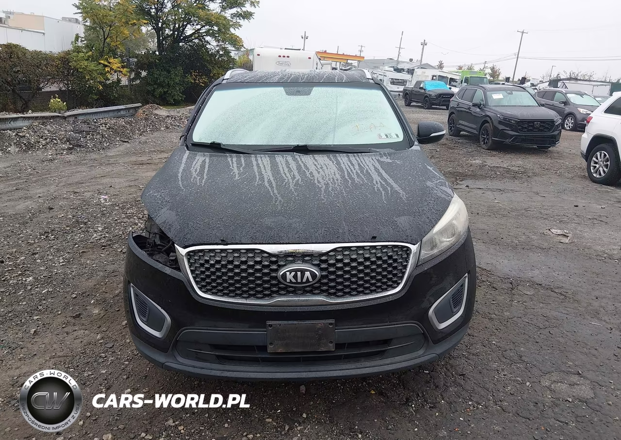 2018 Kia Sorento 2.4L Lx VIN:5XYPG4A31JG366667 - 13