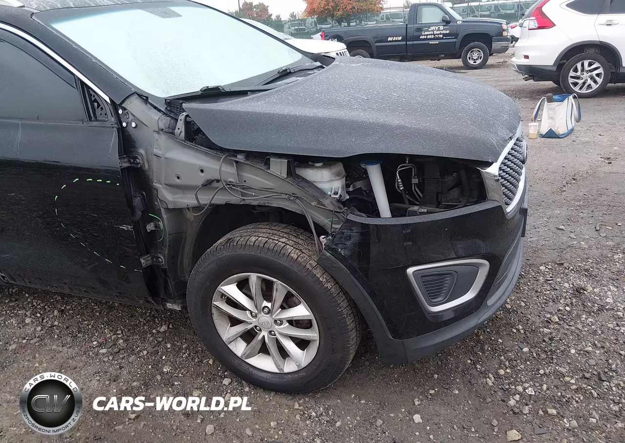 2018 Kia Sorento 2.4L Lx VIN:5XYPG4A31JG366667 - 6