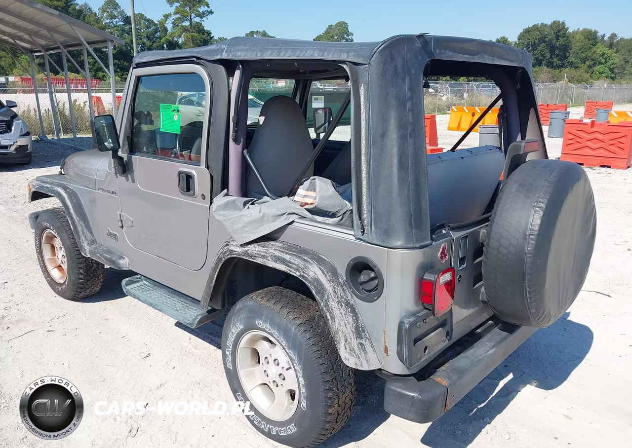 2002 Jeep Wrangler Se VIN:1J4FA29P02P701242 - 3