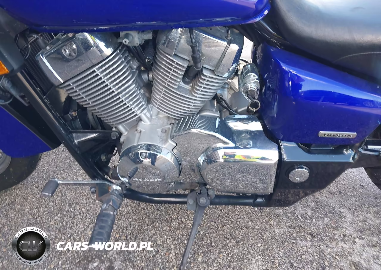 2004 Honda Vt750 Ca VIN:JH2RC50394M004429 - 9