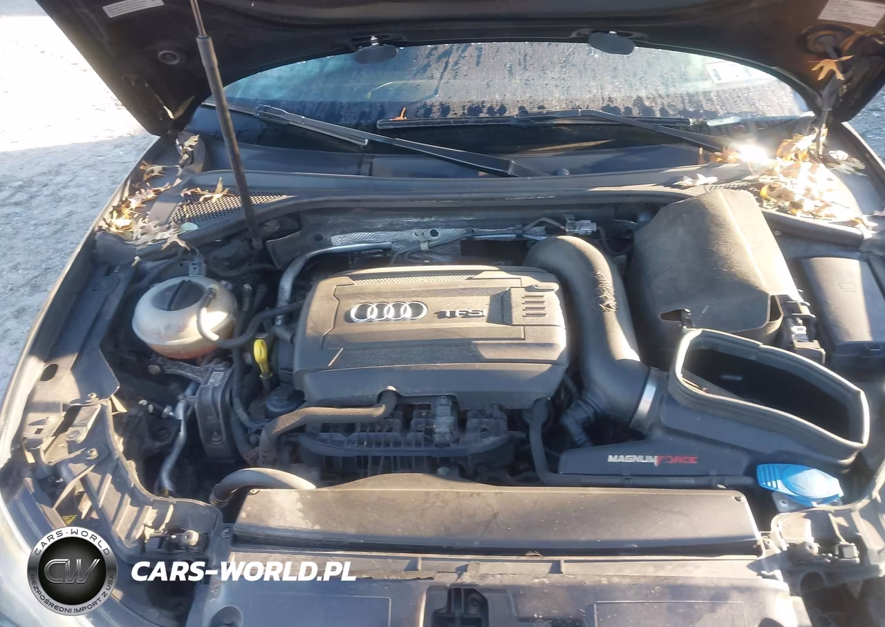 2016 Audi A3 2.0T Premium VIN:WAUB8GFF8G1056016 - 10